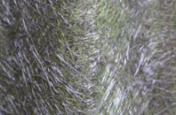 Katesbridge fibreglass roof work